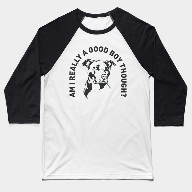 Who's A Good Boy? Baseball T-Shirt by The_Black_Dog